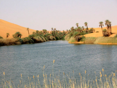 Desert Lakes